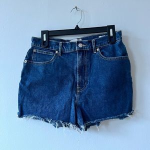 Everlane The Way High Denim Short